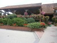 Hier fand unser Zanderessen statt, in diesem Restaurant