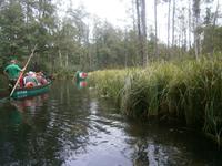 Wildromantische Natur