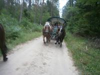 Eine Kutsche mit unseren Gästen