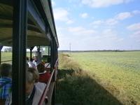 Eine romantische Reise