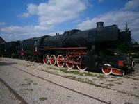 größere Exemplare...