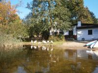 Eine Schwanenfamilie in fast unberührter Natur