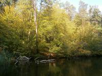 Unberührte Natur ist soooooo entspannend!