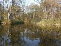 Wie in einer anderen Welt!