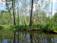 Momentaufnahme von der Krutynna