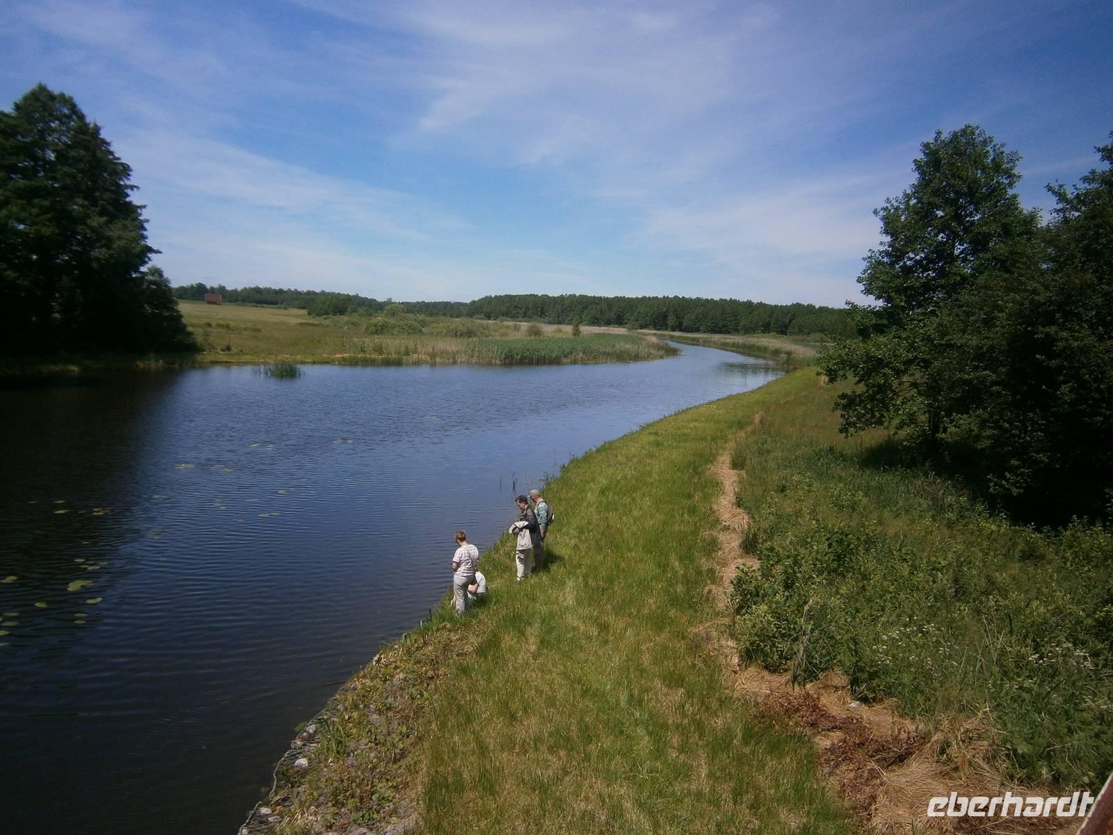 das Flüßchen von der Eisenbahnbrücke aus gesehen