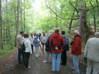 Spaziergang im Wald mit Helga