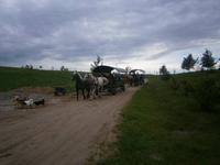 Ankunft der Kutschen mit unseren Gästen zur Bauernhochzeit