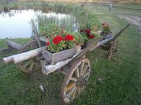 Ideenreiche Gestaltung des Hofes