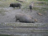 Die ganze Familie ist unterwegs