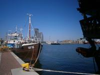 Gdynia, Hafen, im Hintergrund ein Wohnhochhaus