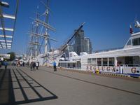 Das Segelschulschiff  