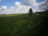 Blick aus dem fahrenden Zug 