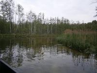 Hier findet man Ruhe und Erholung