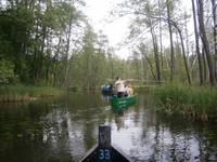 Weiter geht es flußaufwärts