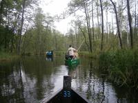 In gemütlicher Fahrt geht es voran