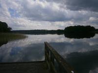 Blick zur Halbinsel des Sees