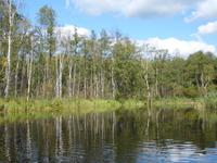 An der Kruttina