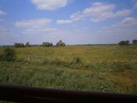 Ein anderer Blick