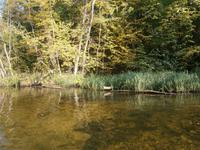 Natur pur!