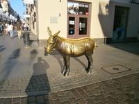 Torun, 