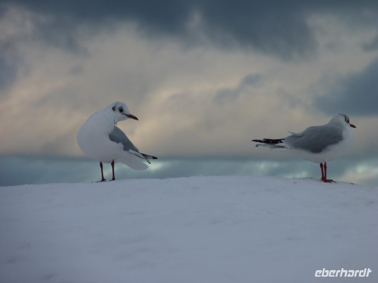 Wohin geht`s Ost oder West