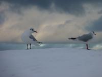 Wohin geht`s Ost oder West