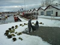 Hafen in Kolberg