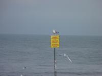 Polnische Ostsee