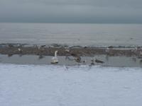 Polnische Ostsee