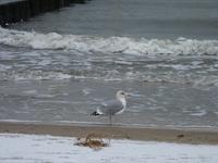 Polnische Ostsee