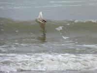 Polnische Ostsee