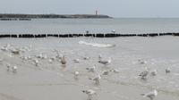Strandleben u Mole