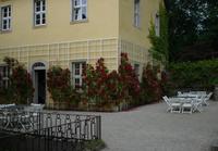 Schloß Stonsdorf - Rosenspalier an Hausfassade