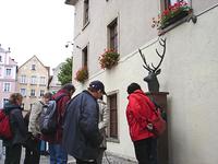 Hirschberg - macht seinem Namen Ehre