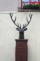 Hirschberg - über 900 Jahre Stadtgeschichte