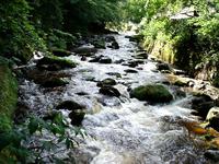 Riesengebirge - In den Bergen von Rübezahl - Zackenfluß