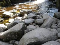 Riesengebirge - Nationalpark - am Kochelfall