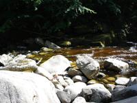 Riesengebirge - Nationalpark - am Kochelfall