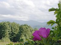 Schlesien: schöne Vorgebirgslandschaft