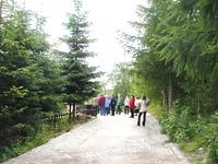 Karpazc - WEg zur Kirche Wang