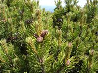 Riesengebirge - In den Bergen von Rübezahl