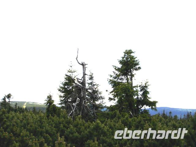 Riesengebirge - In den Bergen von Rübezahl