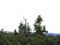 Riesengebirge - In den Bergen von Rübezahl