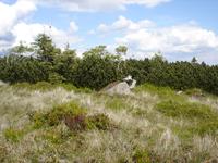 Riesengebirge - In den Bergen von Rübezahl