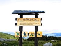 Riesengebirge - In den Bergen von Rübezahl - auf 1320 m Höhe