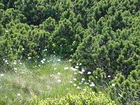 Riesengebirge - In den Bergen von Rübezahl