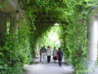 Breslau - Pergola bei Jahrhunderthalle