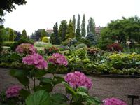 Breslau - Botanischer Garten