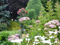 Breslau - Botanischer Garten